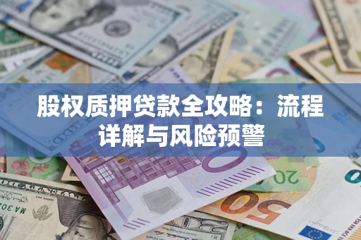北京股权质押贷款全攻略：流程详解与风险预警