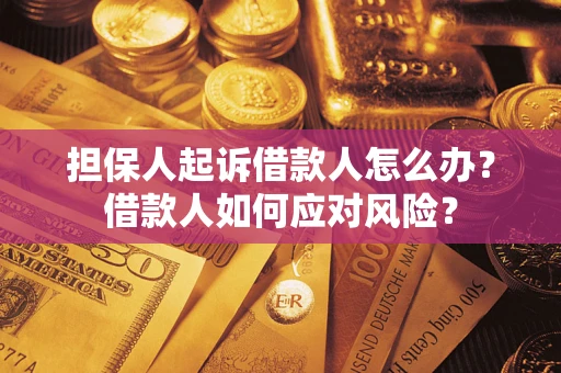 北京担保人起诉借款人怎么办？借款人如何应对风险？